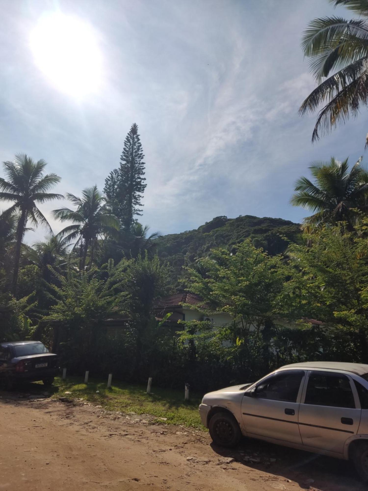 Apezinho Da *