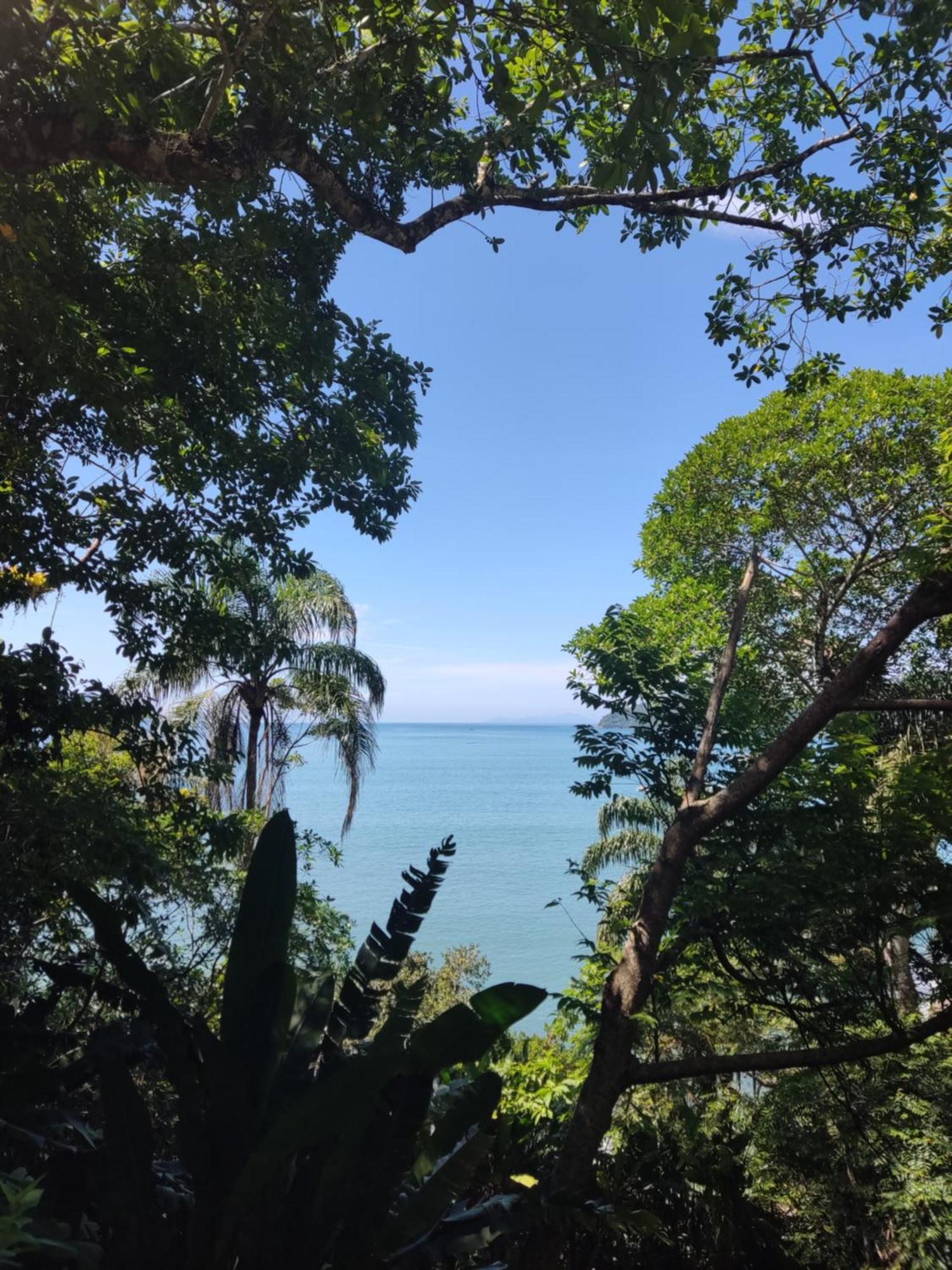 Apezinho Da